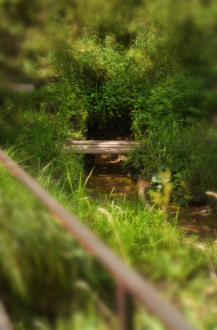 DSC07053-2.jpg