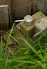 DSC07120.JPG