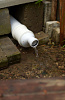 DSC06973.JPG