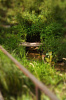 DSC07053-2.jpg