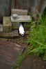 DSC06997-2.jpg