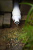 DSC06980-2.jpg