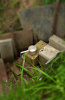 DSC07119-2.jpg
