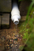 DSC06982-2.jpg
